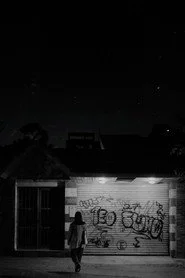 Los pájaros cantan de noche