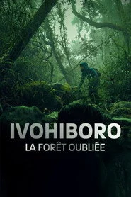 Ivohiboro: La Forêt Oubliée