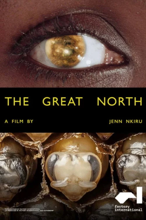 The Great North