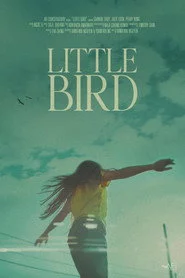 Little Bird