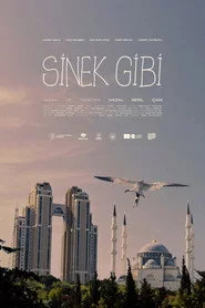 Sinek Gibi