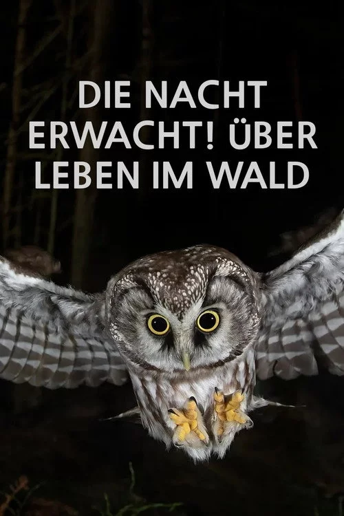 Die Nacht erwacht! Über Leben im Wald
