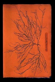 Ghost Protists