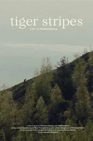 Tijgerstrepen