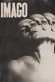 Імаґо