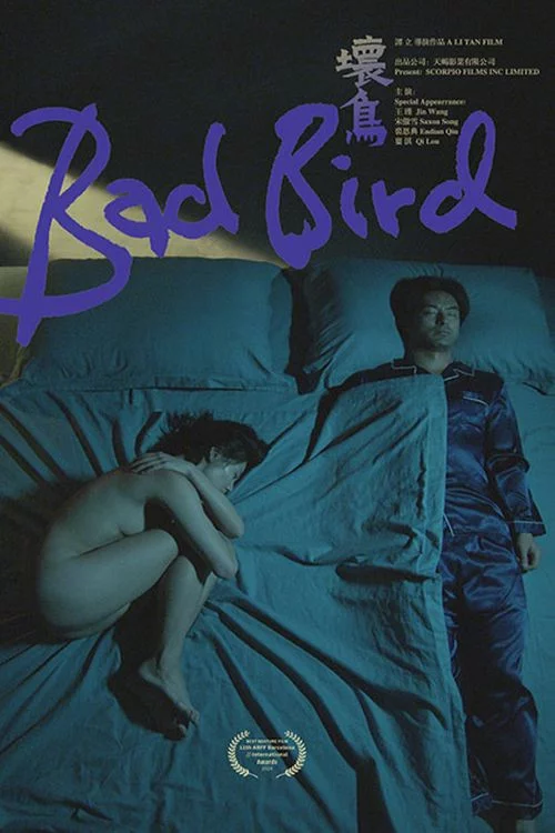 坏鸟