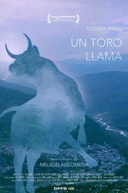 Un toro llama
