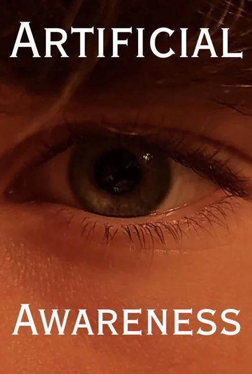 Artificial Awareness