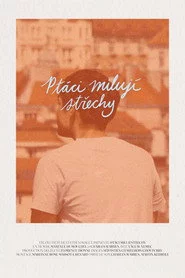 Ptáci milují střechy