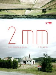 2mm