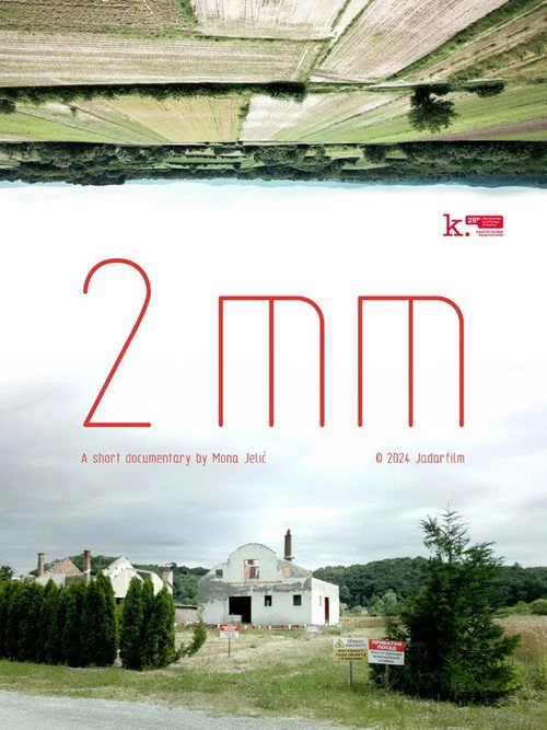 2mm