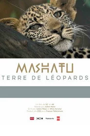 Mashatu: Land of Leopards