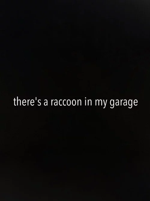 There's a Raccoon in My Garage