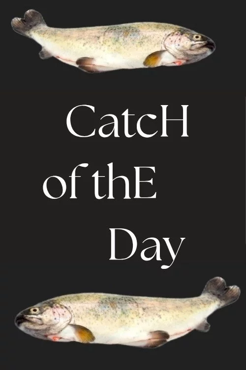 Catch of the Day