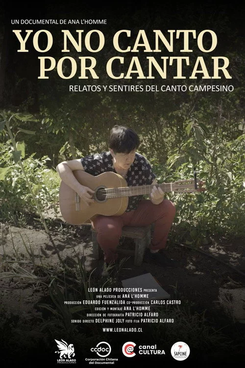 Yo no canto por cantar