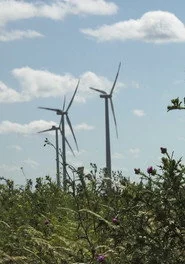Windpark: Ein Lichtspiel bei Nacht