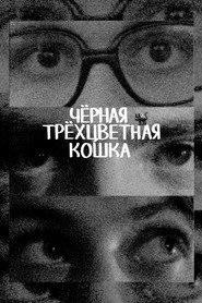 Чёрная трёхцветная кошка