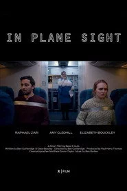 In Plane Sight