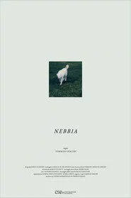 Nebbia