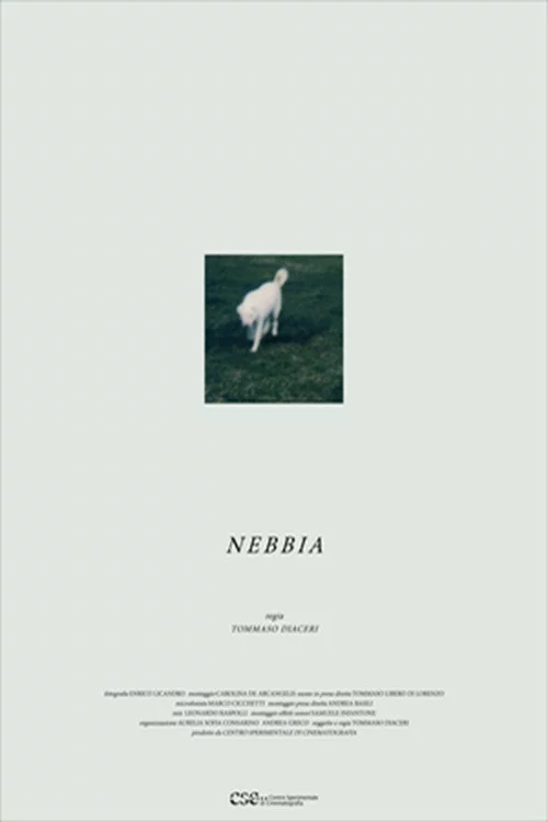 Nebbia