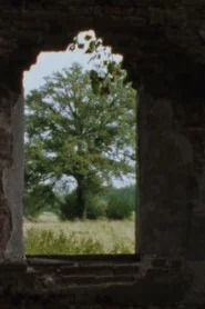 Landscape as Landscape 8