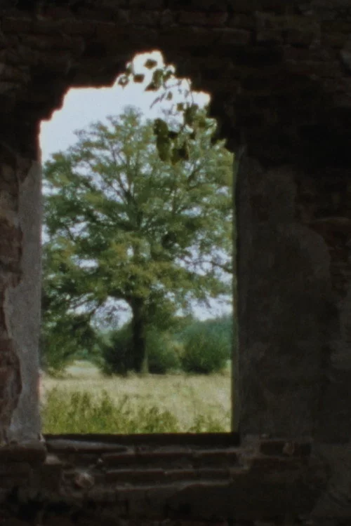 Landscape as Landscape 8