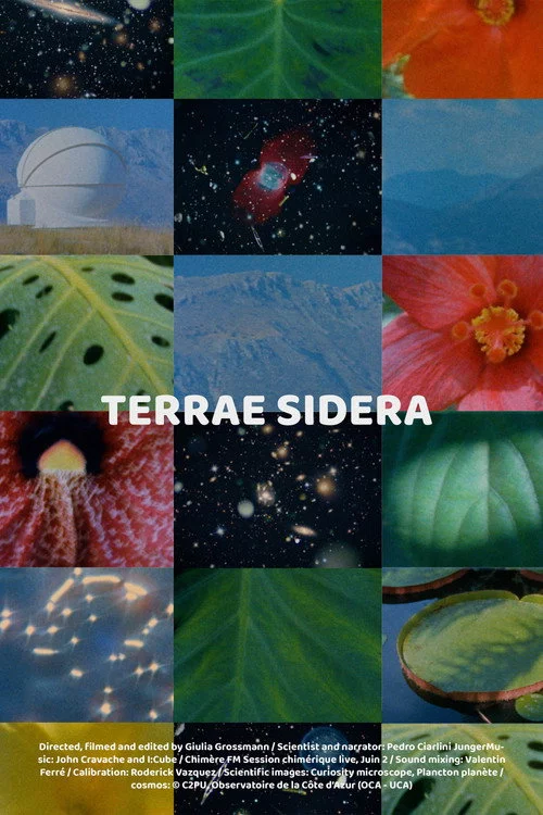 Terrae Sidera