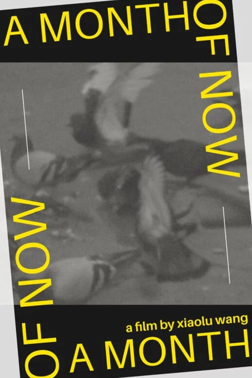 A Month of Now