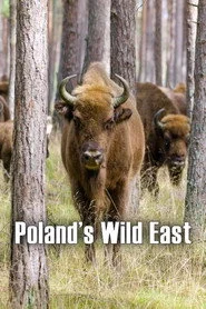 Poland's Wild East
