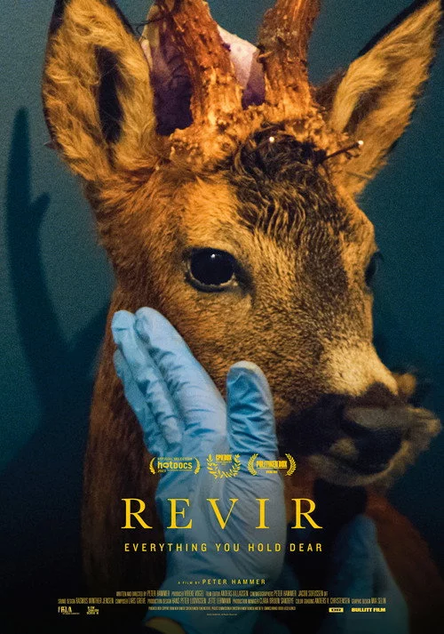 Revir