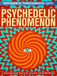 Psychedelic Experiences