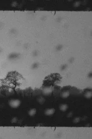 Landscape as Landscape 5