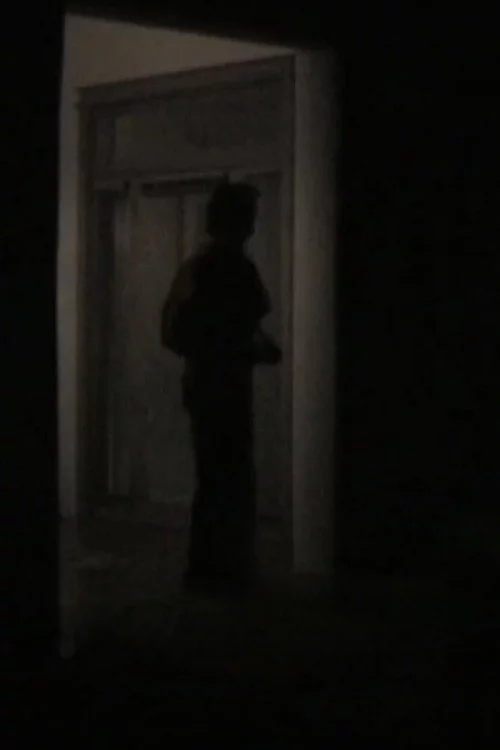 a film about nothing or my friend, jake, in new mexico