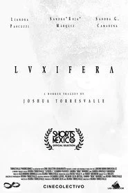 L V X I F E R Λ