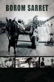 Borom sarret