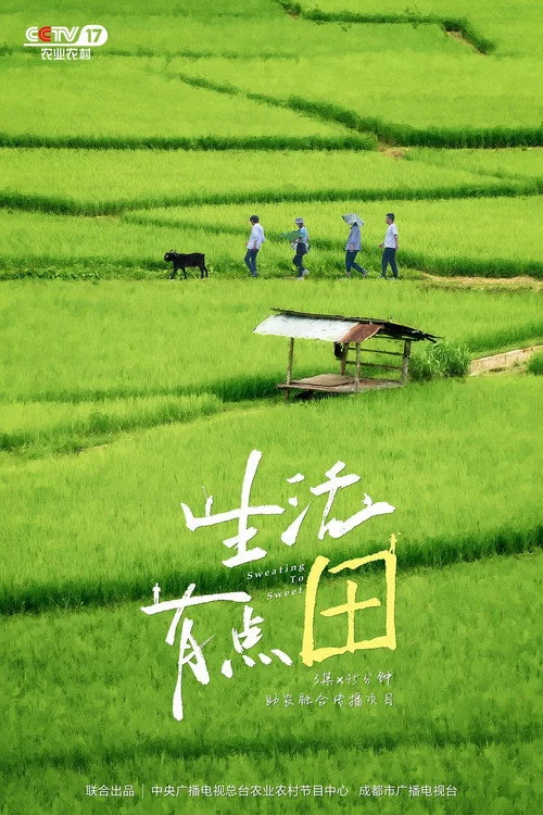 生活有点“田”