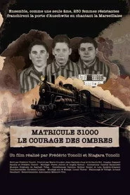 Matricule 31000, le courage des ombres
