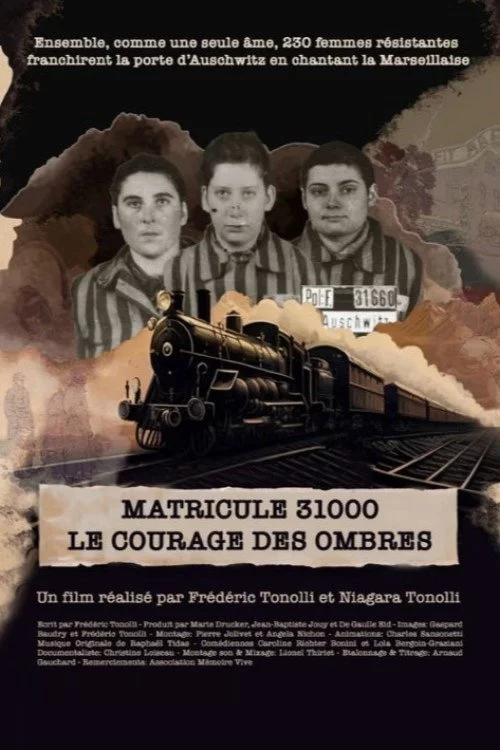 Matricule 31000, le courage des ombres