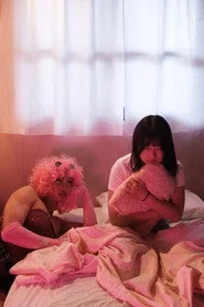 粉紅色壁虎