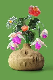 規則與想像