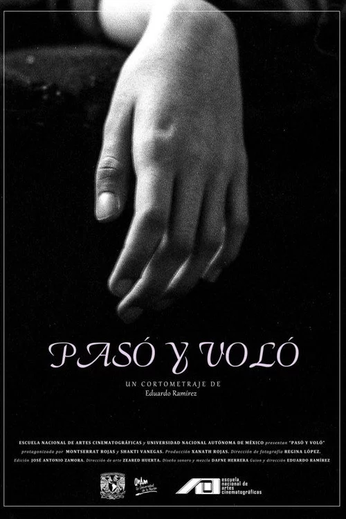 Pasó y voló