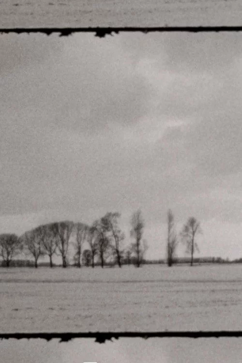 Landscape as Landscape 7