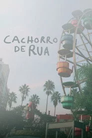 Cachorro de Rua