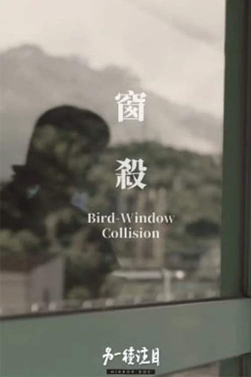 窗殺