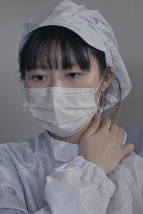 벌레