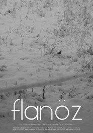 Flanöz