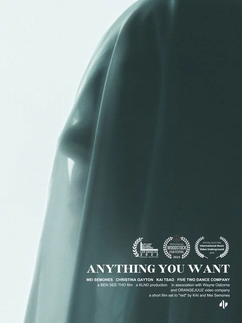 Anything You Want
