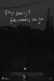 Today's Sunlight Falls Weakly on You