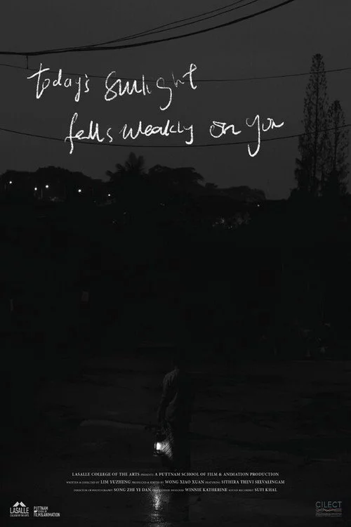 Today's Sunlight Falls Weakly on You