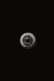 Ojos